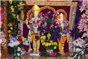 holi_nar_narayan_dev_jayanti_015.jpg